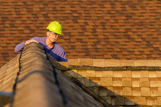 Best Metal Roofing Contractor  in Meadow Glade, WA