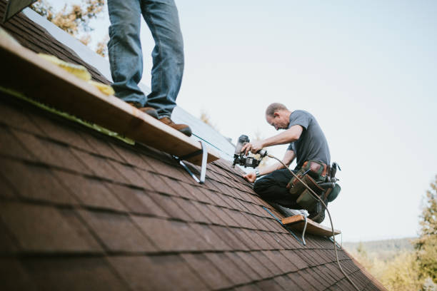 Best Roof Leak Repair  in Meadow Glade, WA